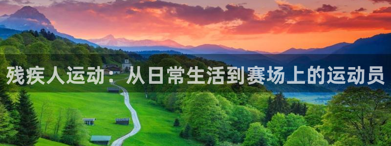 z66体育app怎么样：残疾人运动：从日常生活到赛场上的运动员