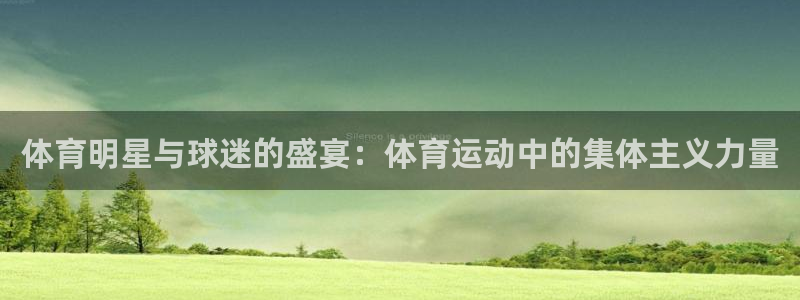 z66体育彩票：体育明星与球迷的盛宴：体育运动中的集体主义力量
