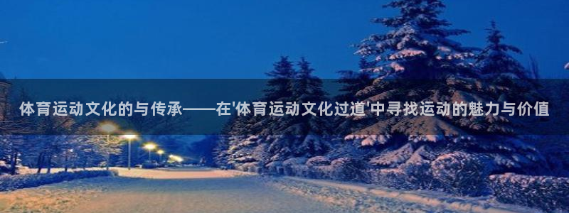 z66体育：体育运动文化的与传承——在\'体育运动文化过道\'中寻找运动的魅力与价值
