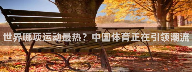 Z66体育APP最新版：世界哪项运动最热？中国体育正在引领潮流