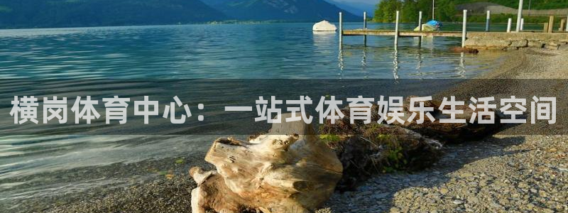 z66体育软件怎么加好友：横岗体育中心：一站式体育娱乐生活空间
