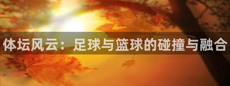 z66体育是怎么回事：体坛风云：足球与篮球的碰撞与融合